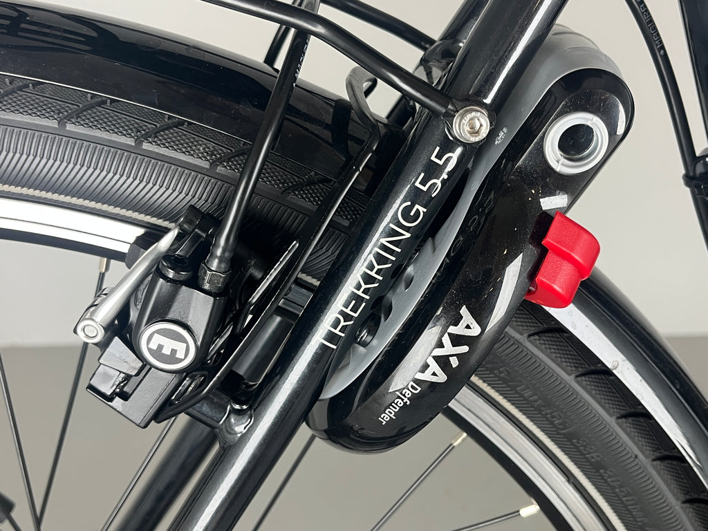 VICTORIA Trekking 5.5