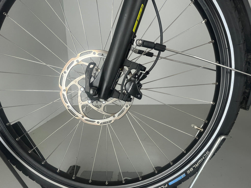 VICTORIA eManufaktur 10.9