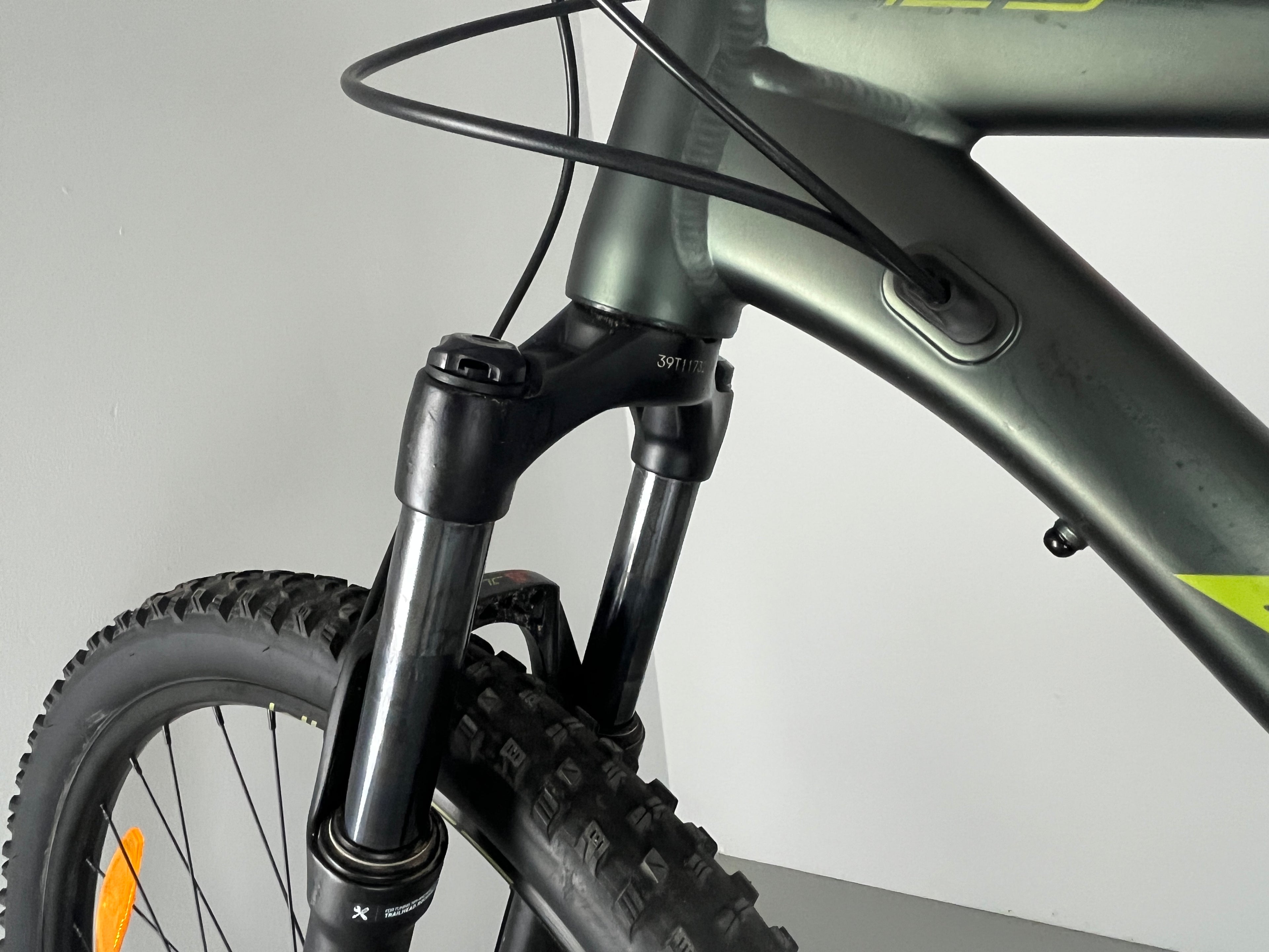 WHYTE 429