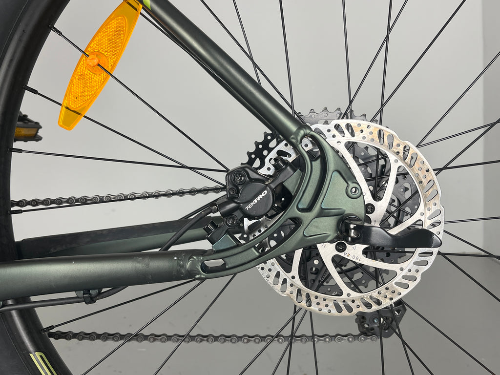 WHYTE 429