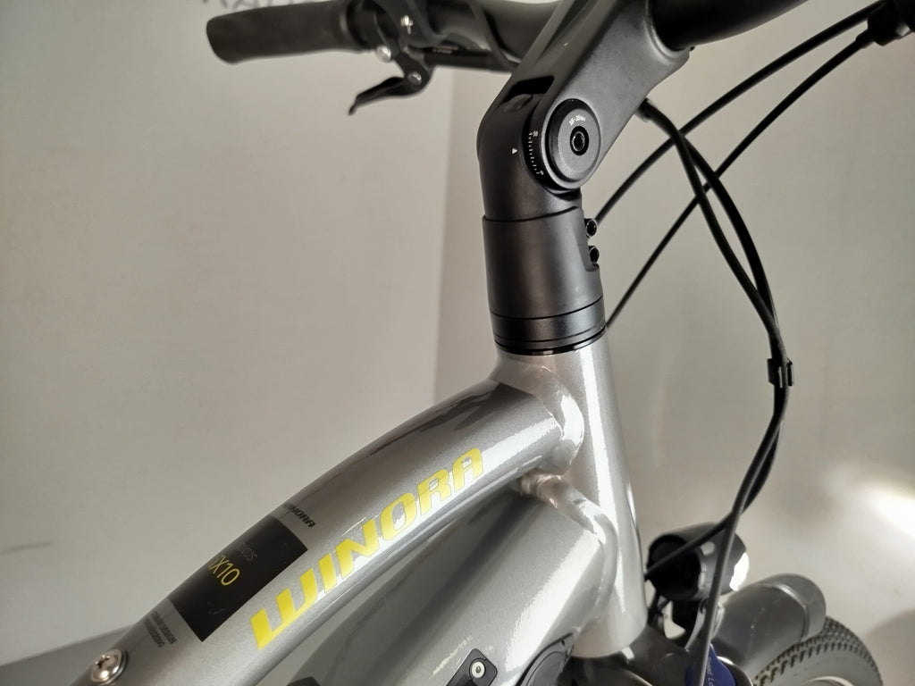 Winora Sinus iX10