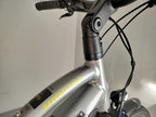 Winora Sinus iX10