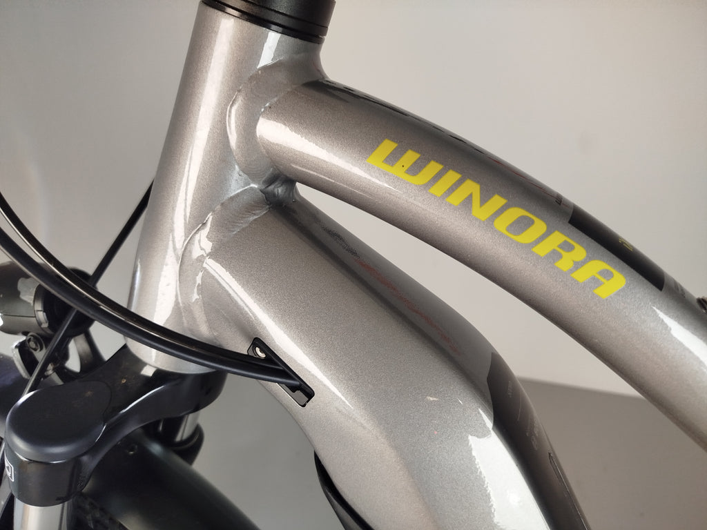Winora Sinus iX10