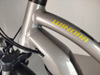 Winora Sinus iX10