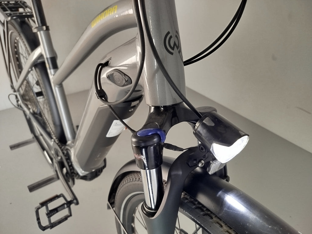 Winora Sinus iX10